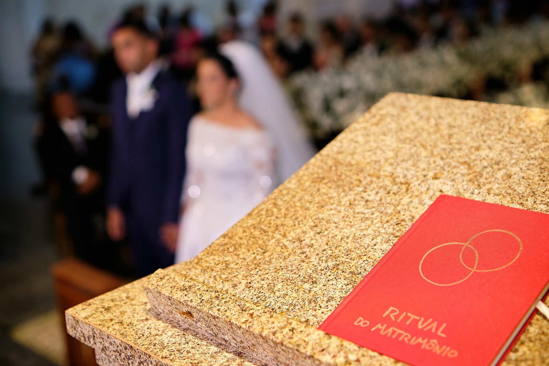 Foto Gardenia & Nadilson - Nosso casamento 24.09.2022 Foto Gardenia & Nadilson - Nosso casamento 24.09.2022 - Imagem 53